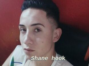 Shane_hook