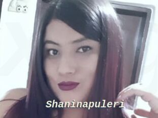 Shaninapuleri