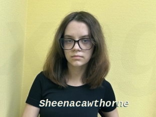 Sheenacawthorne