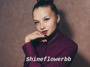 Shineflowerbb