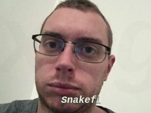Snakefl