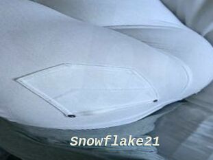 Snowflake21