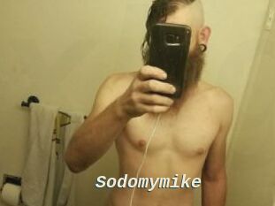 Sodomymike