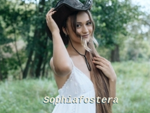 Sophiafostera