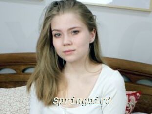 Springbird