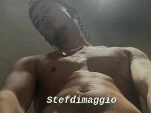 Stefdimaggio