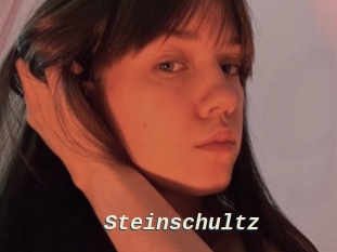 Steinschultz