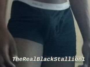 TheRealBlackStallion1