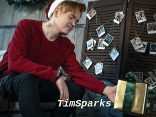 TimSparks