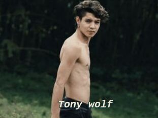 Tony_wolf