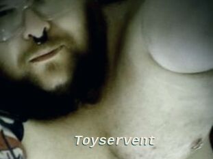 Toyservent