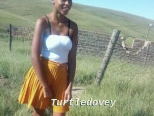 Turtledovey