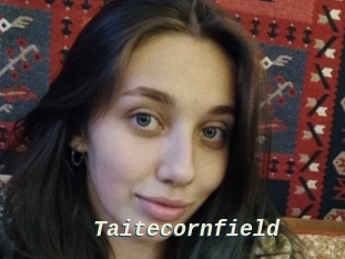 Taitecornfield