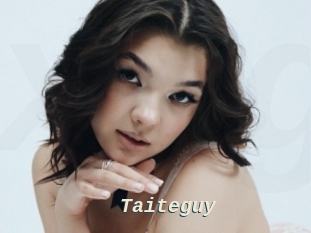 Taiteguy