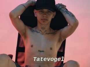 Tatevogel