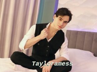 Tayloramess