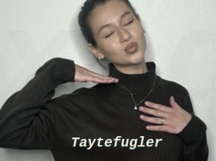 Taytefugler