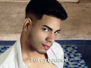 Terrybounce