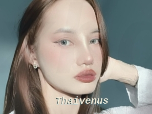 Thaivenus