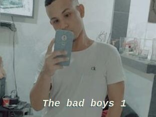 The_bad_boys_1