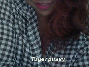 Tigerpussy