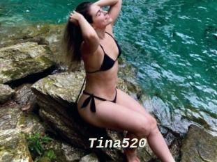 Tina520