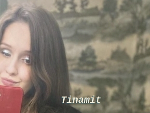 Tinamit