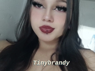 Tinybrandy