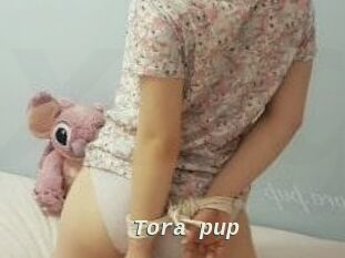 Tora_pup
