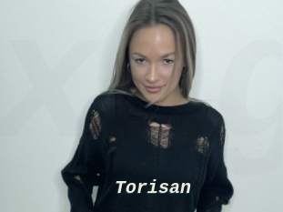 Torisan