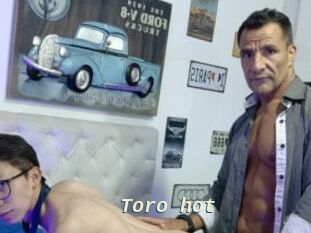 Toro_hot