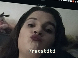 Transbibi