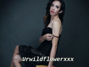 Urwildflowerxxx