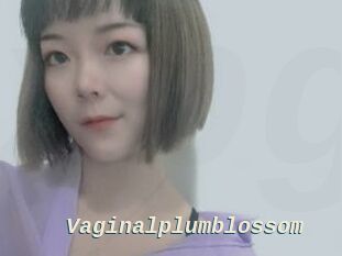 Vaginalplumblossom