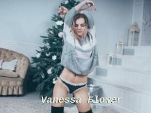 Vanessa_Flower