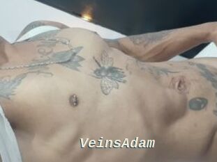 VeinsAdam