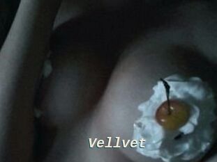 Vellvet