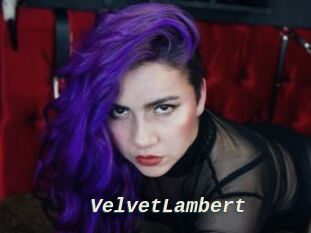 VelvetLambert