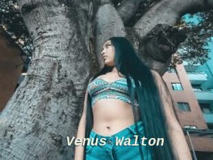 Venus_Walton