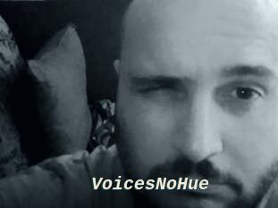 VoicesNoHue