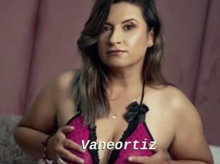 Vaneortiz