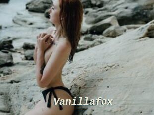 Vanillafox