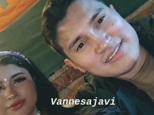 Vannesajavi