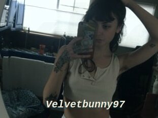 Velvetbunny97