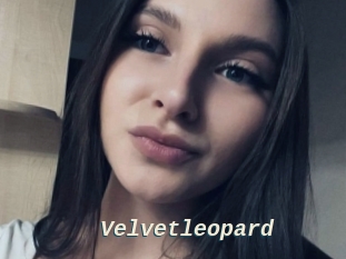 Velvetleopard