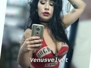 Venusvelvet