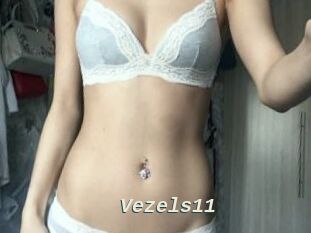 Vezels11