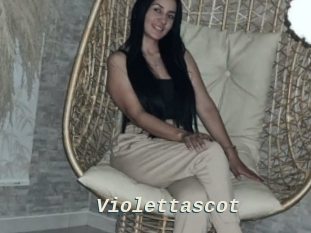 Violettascot