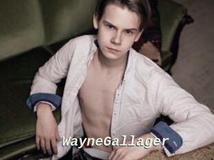 WayneGallager