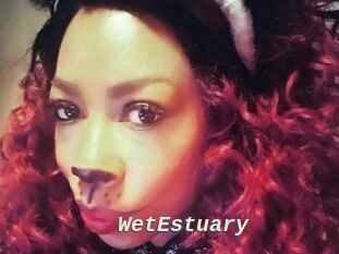 WetEstuary